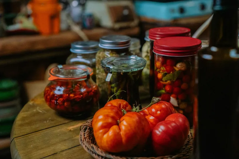 Before the Refrigerator Revolution: When Every Meal Was a Race Against Time