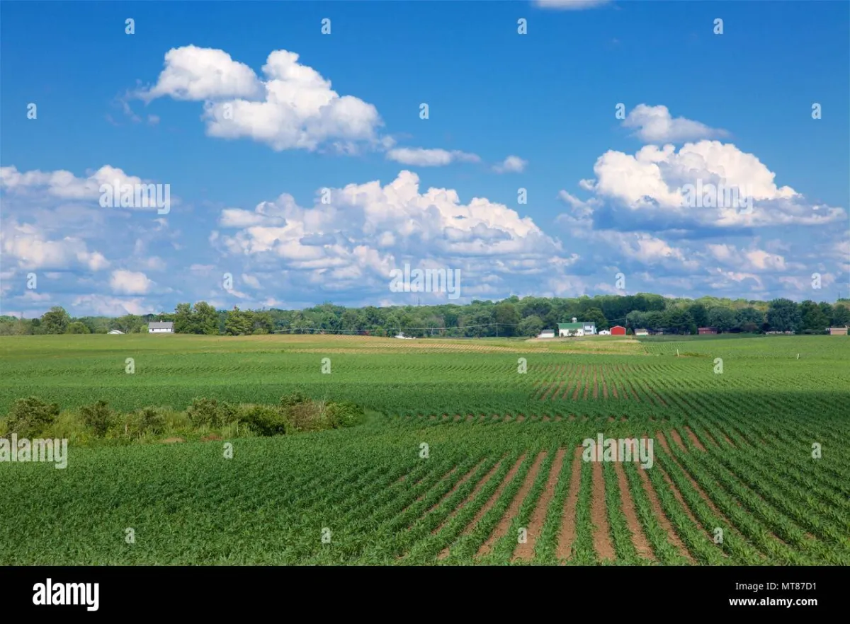 rural Midwest